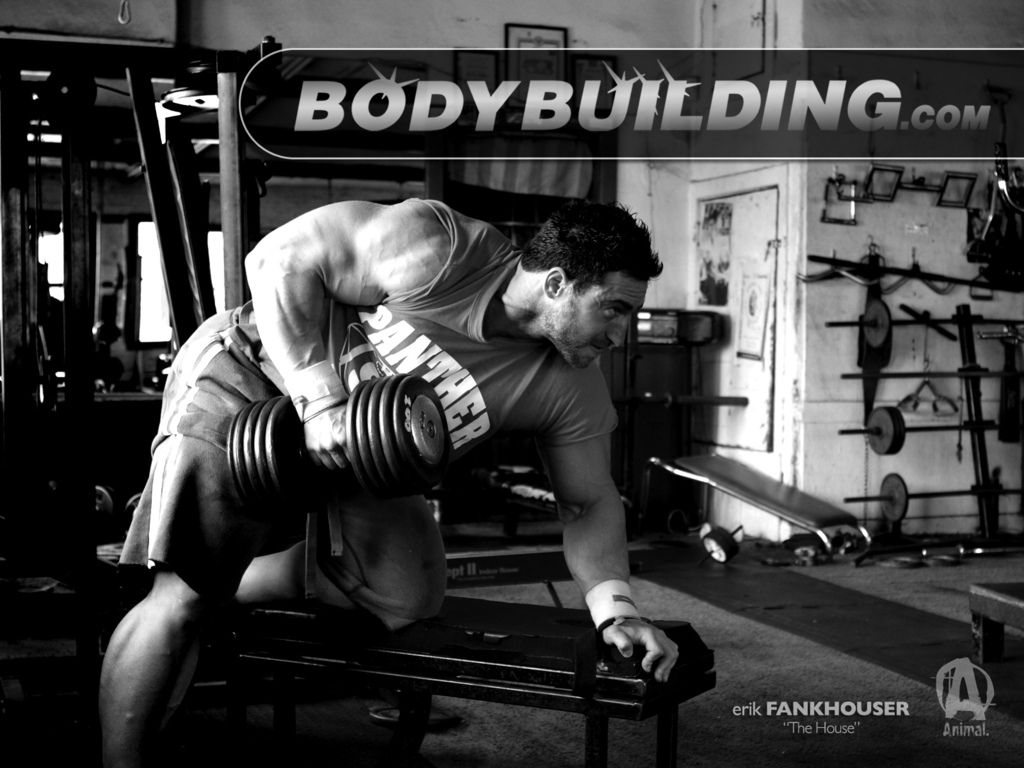 Body Building Wallpaper Download The Free Bodybuilding - Natural