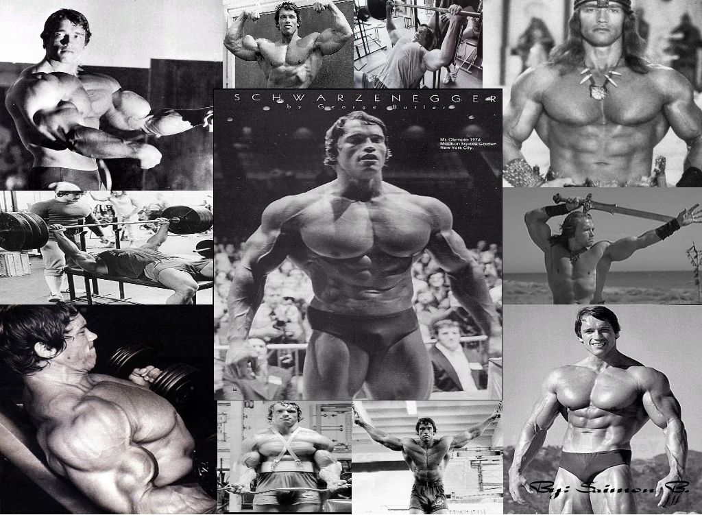 Arnold Bodybuilding Wallpaperdesktop Wallpaper Arnold ...