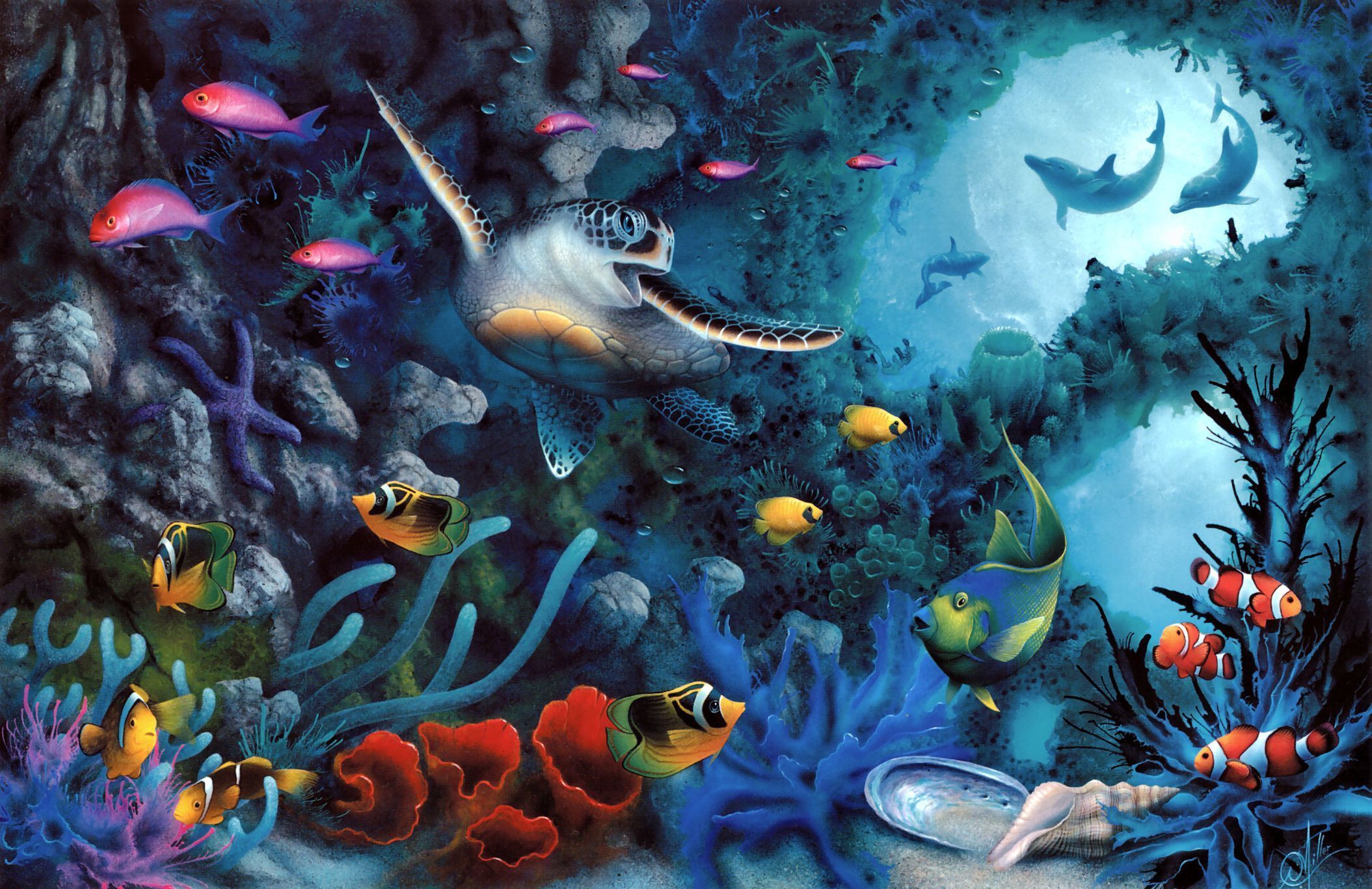 IMAGE ocean life backgrounds