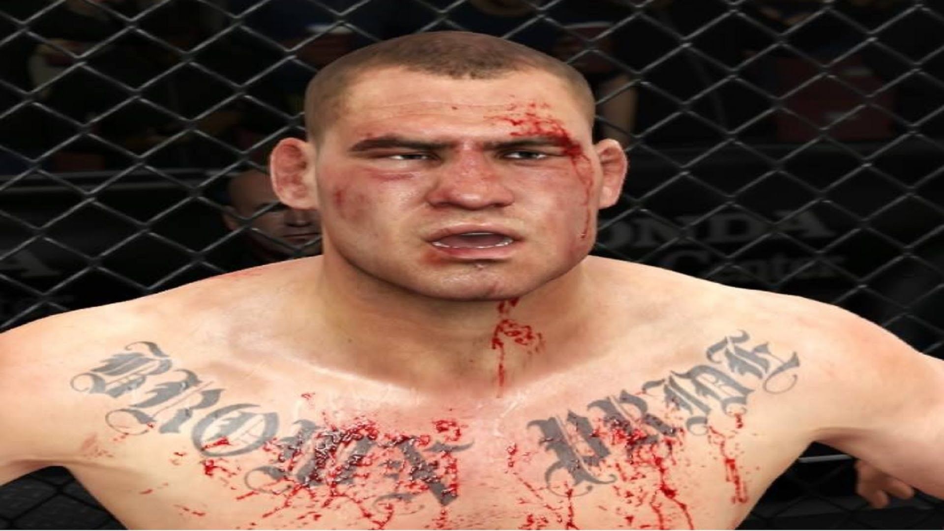 Cain Velasquez vs. Fabricio Werdum Knockout / EA SPORTS UFC