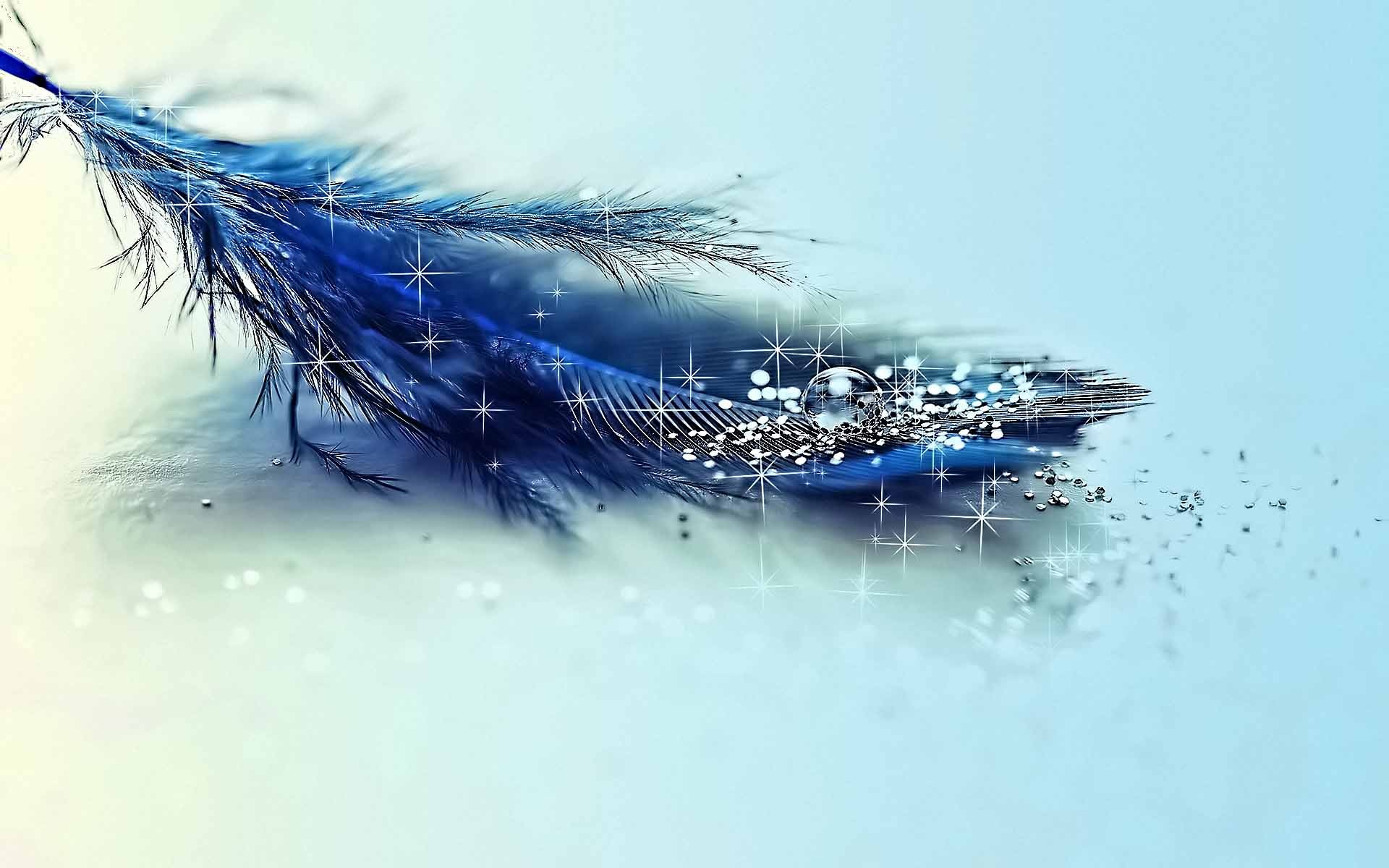 Download the Blue Feather and Glitter Wallpaper, Blue Feather and ...