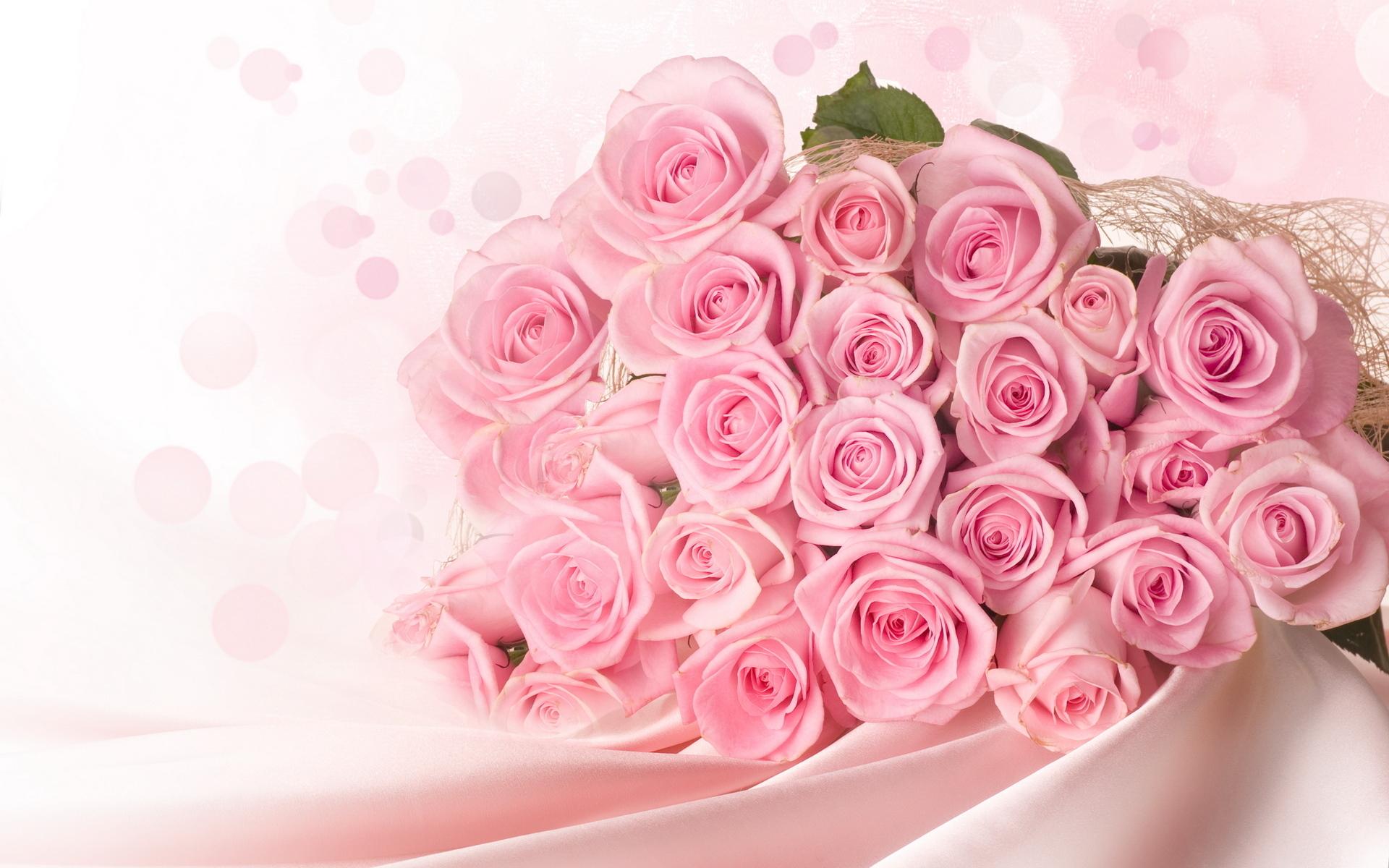 Pink Pastel Roses For Beautiful_life >> HD Wallpaper, get it now!