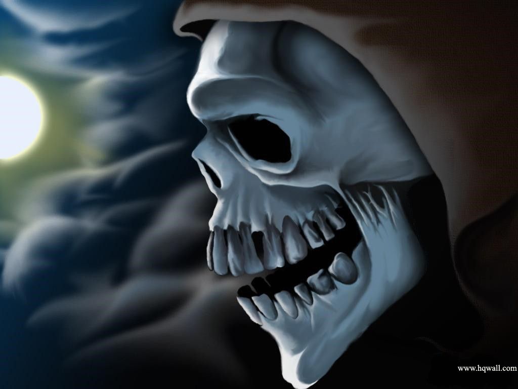 Skull Wallpapers Download Group (83+)