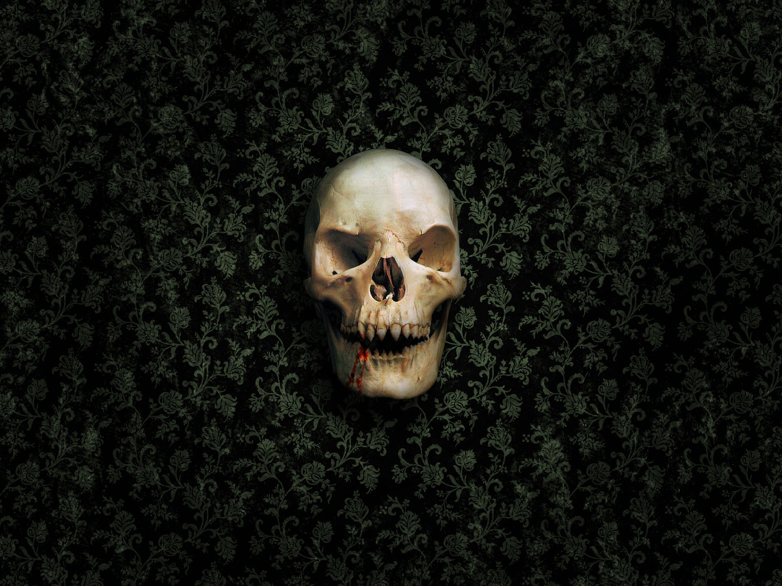 887930 Skull Backgrounds