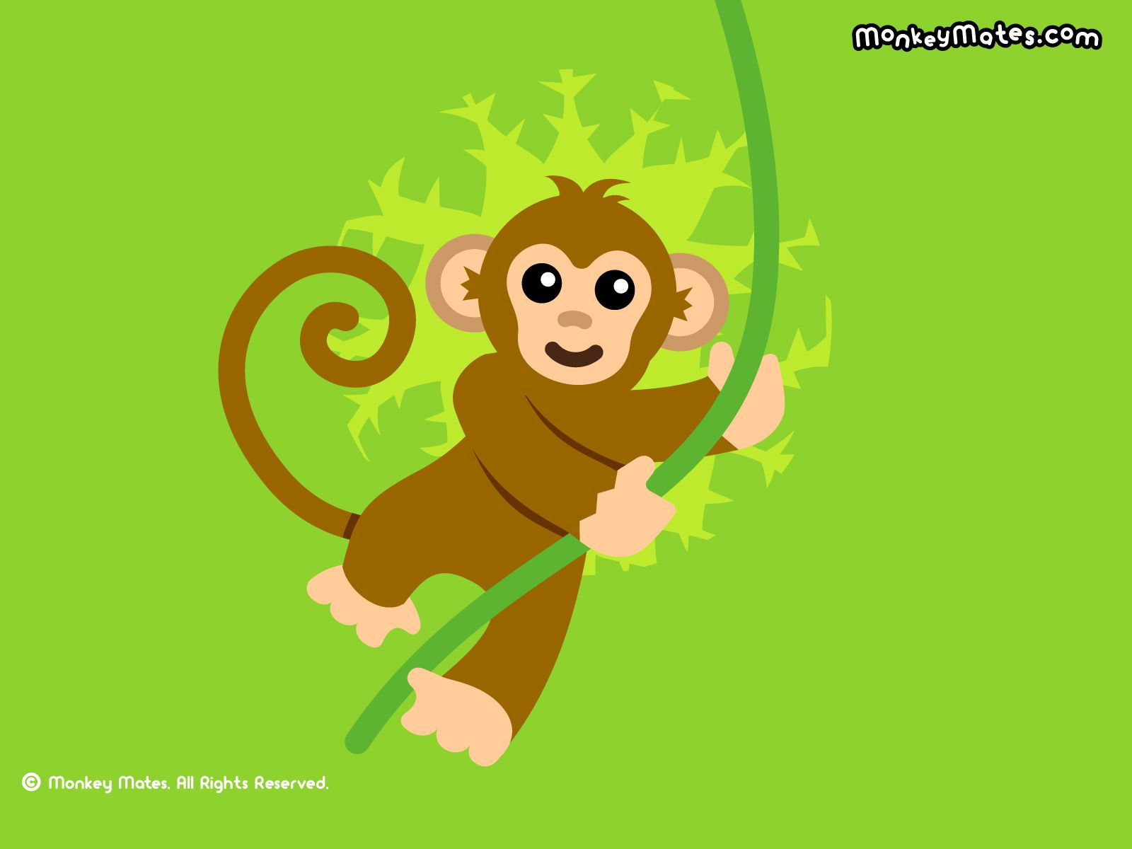 Wallpapers Of Monkey - Wallpaper Cave