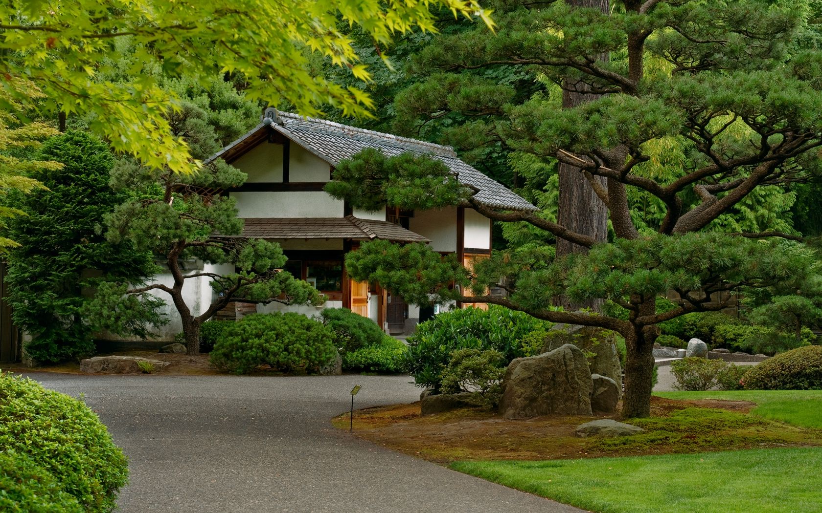 Houses Japanese House Oriental Tree Garden Japa Free Desktop