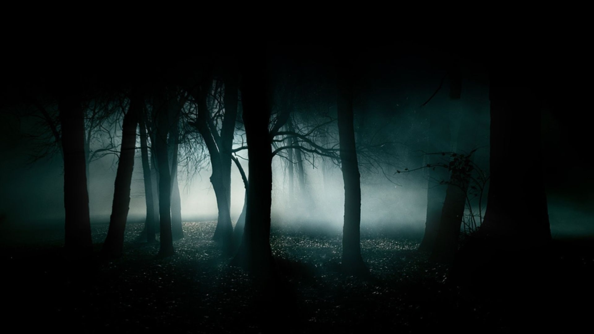 Dark Forest HD Wallpapers, Dark Forest Background | Cool Wallpapers