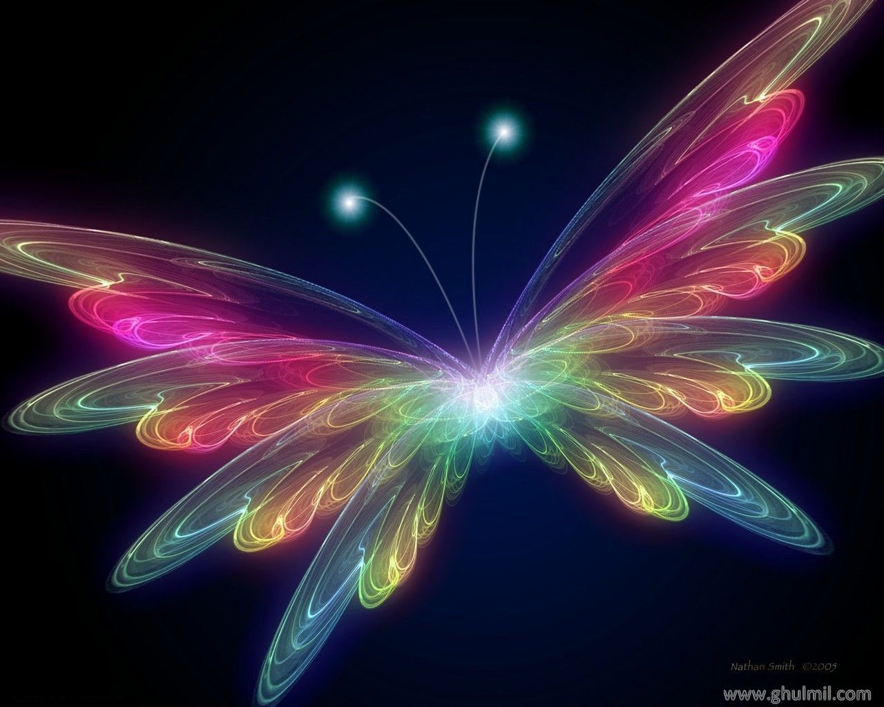 3D Butterfly Wallpapers