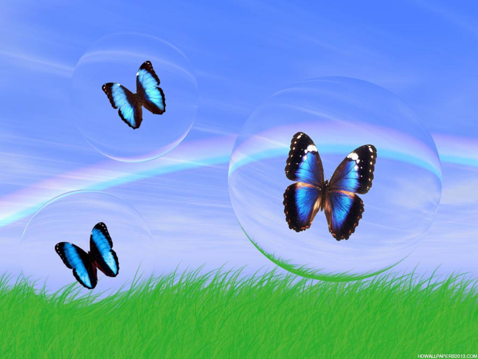3d Wallpaper Download Butterfly Image Num 44