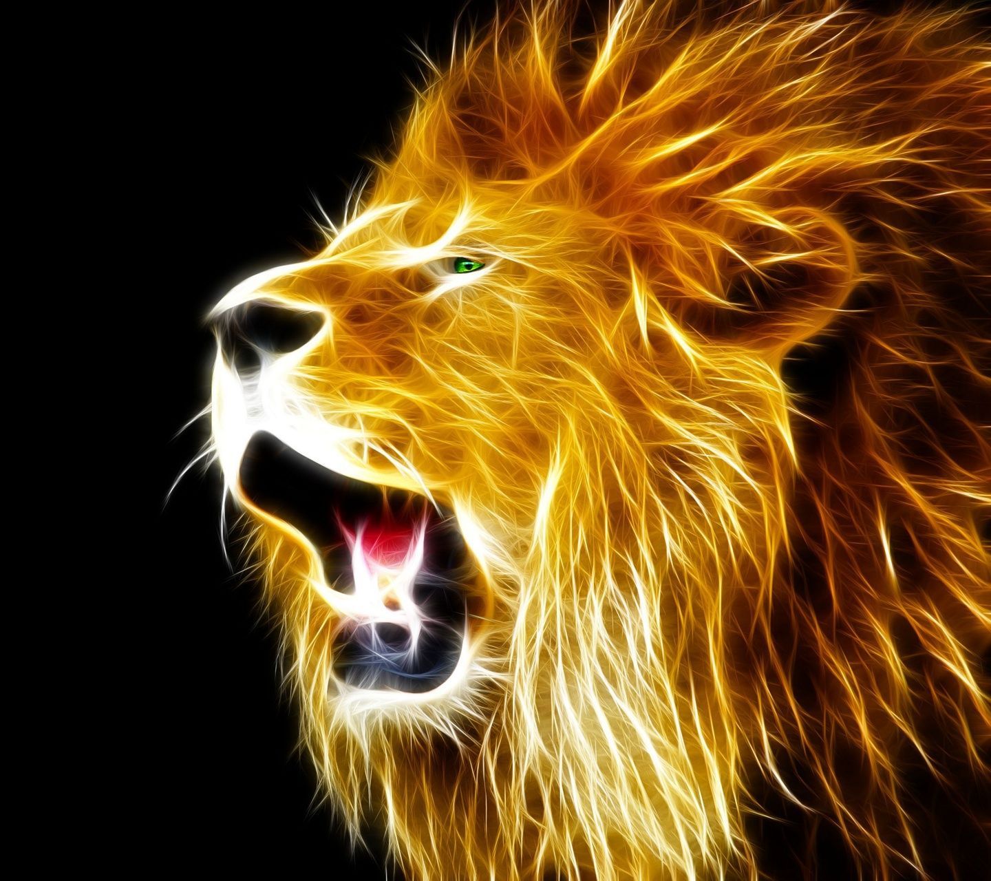 Download lion 1440 x 1280 Wallpapers - m4f944ef811549 - lion ...