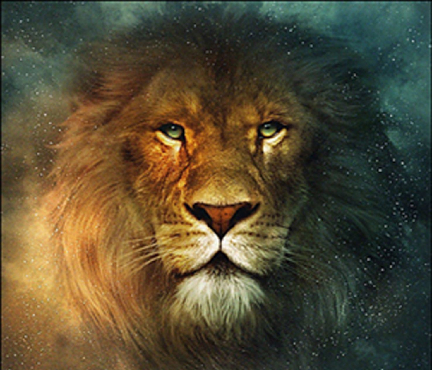 Top Cool Lion Wallpapers Hd Images for Pinterest