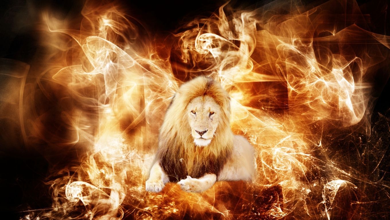 Wallpapers Cool Lion Pictures Animal D 1360x768 | #772917 #cool ...