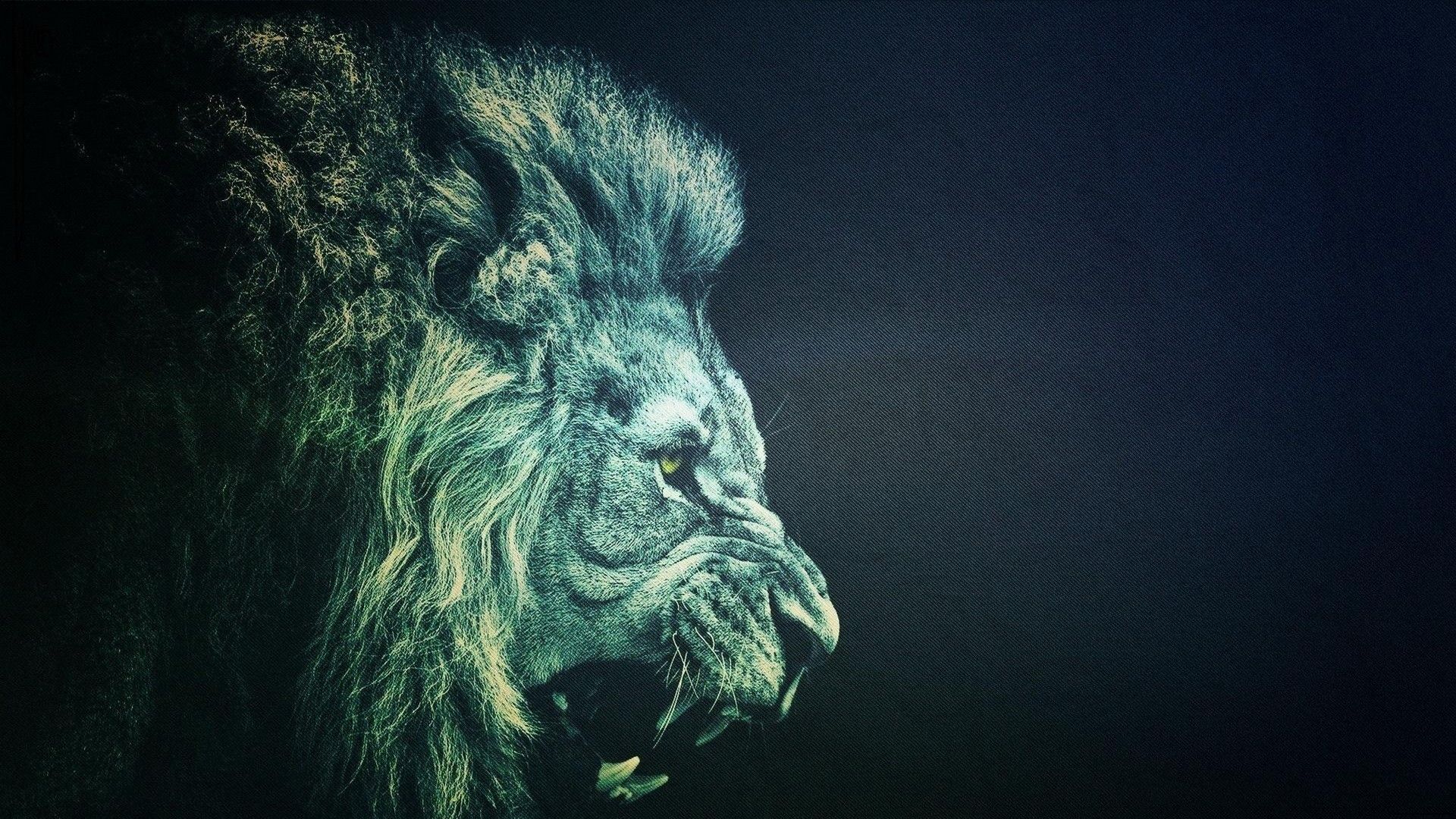 Lion in the wild wallpaper | Wallpaper Wide HD