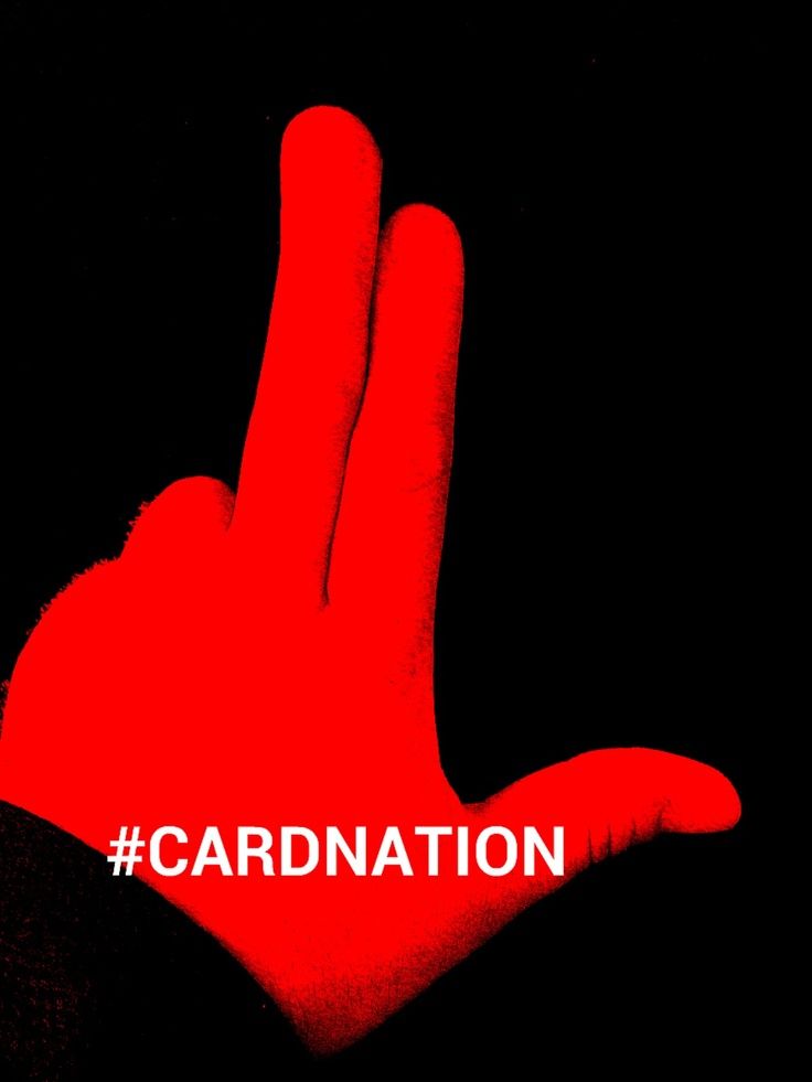 Louisville cardinals basketball on Pinterest | University Of ...