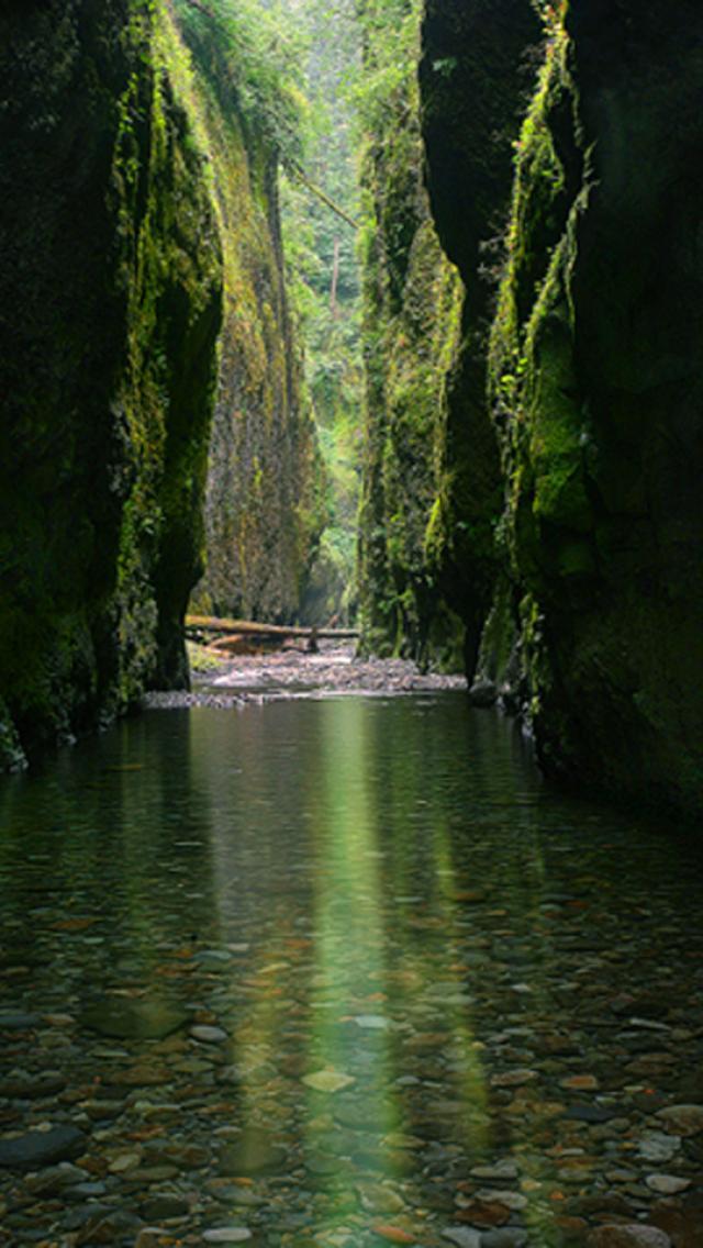 oneonta gorge oregon, Nature | iPhone wallpapers HD #228559 on ...