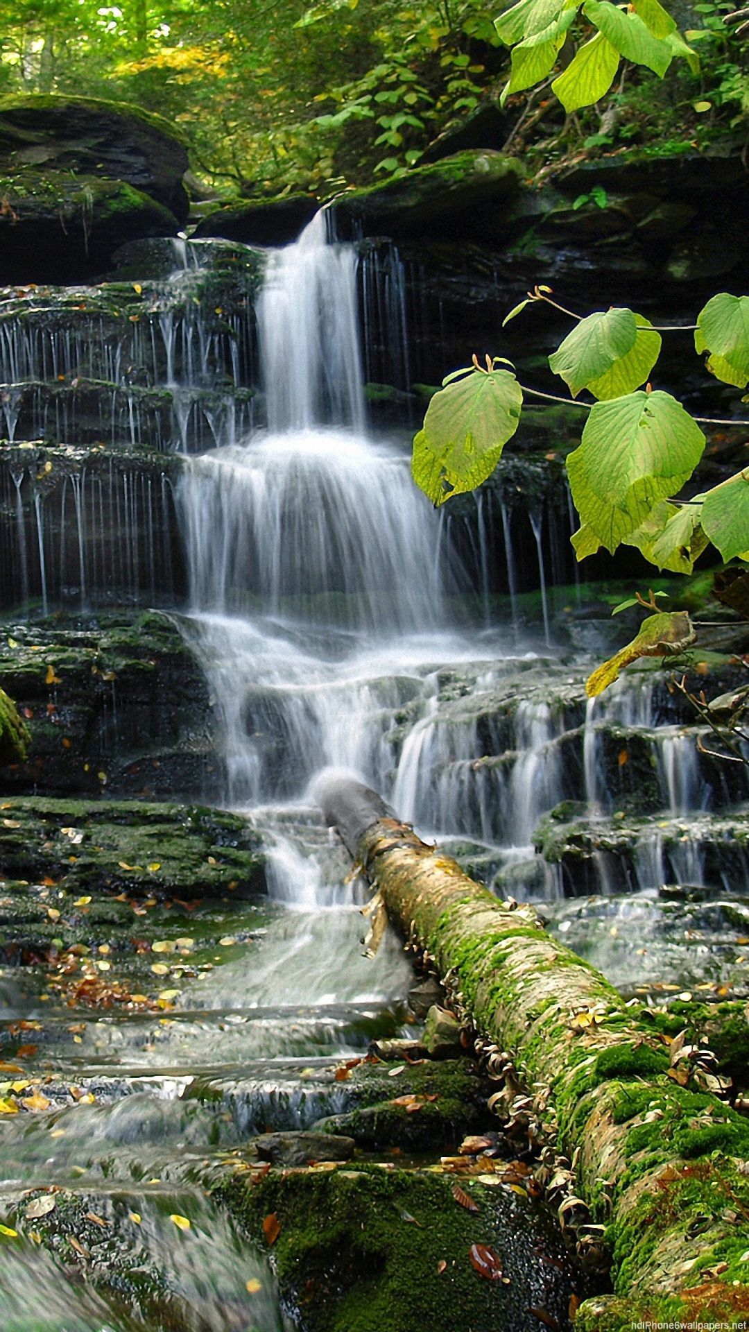 tree waterfall nature iPhone 6 wallpapers HD and 1080P 6 Plus ...