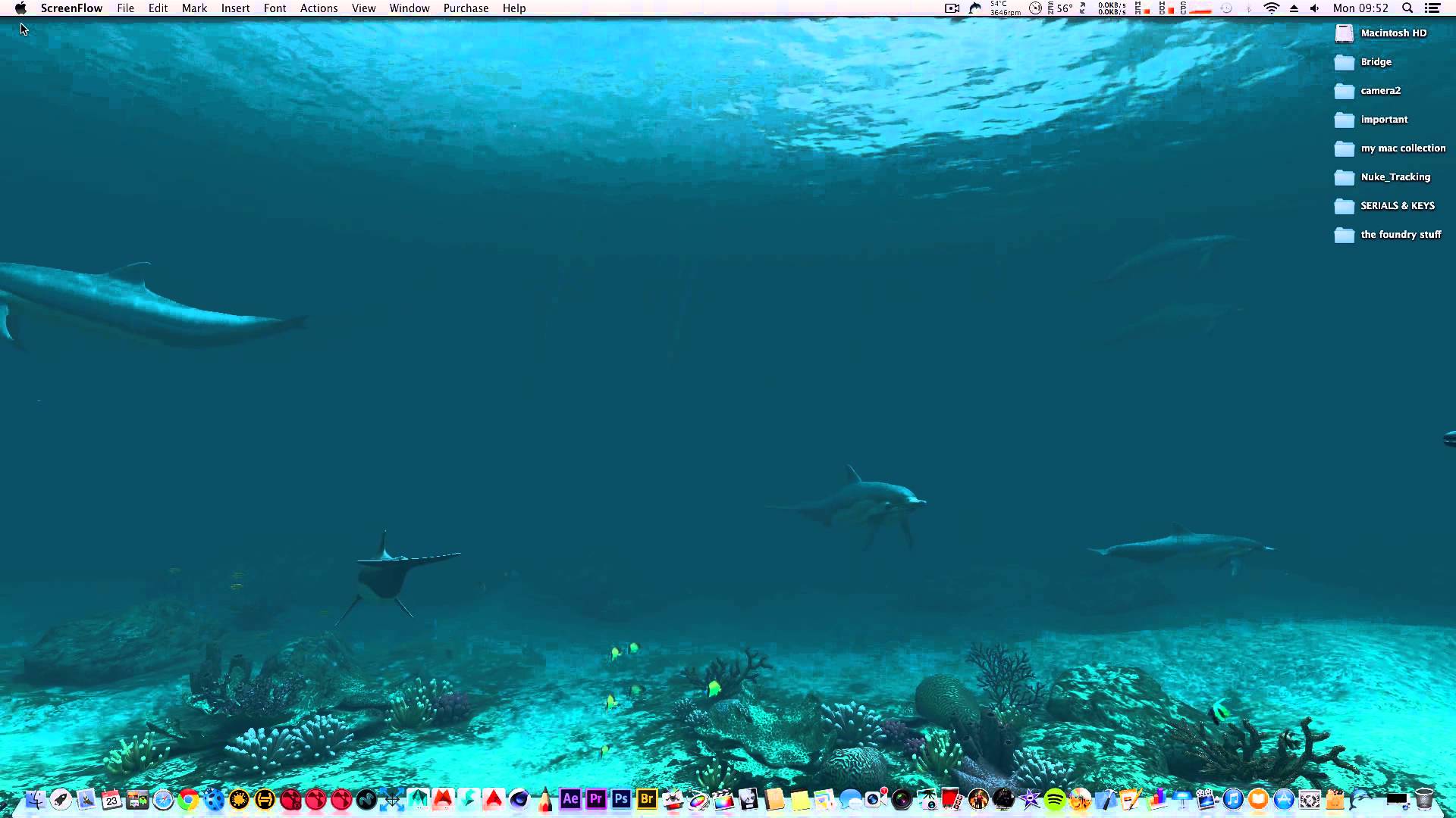 Dolphin Animated Wallpaper for Mac 4k Displays - YouTube