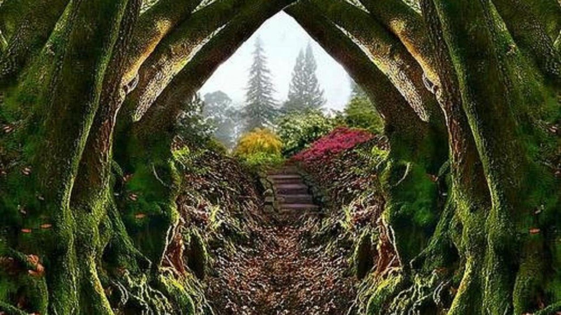 Entrance to the secret garden wallpaper - HQ Desktop