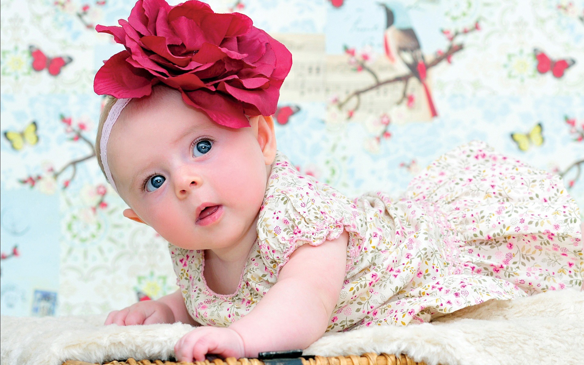Cute Babies Wallpapers Free Download Funny Family Wallpaper ...