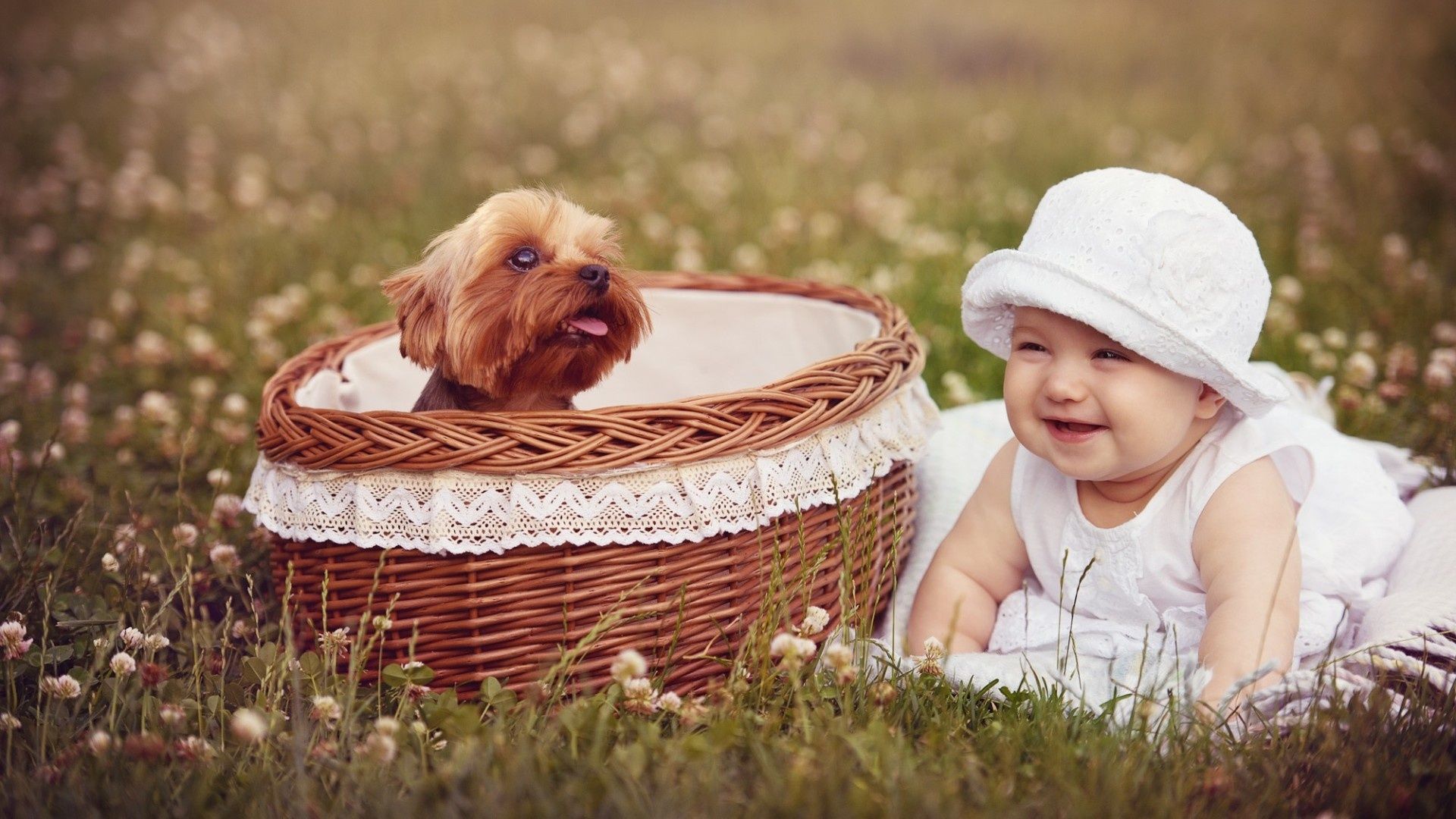 Cute Baby And Basket Puppy Desktop Wallpaper - DreamLoveWallpapers
