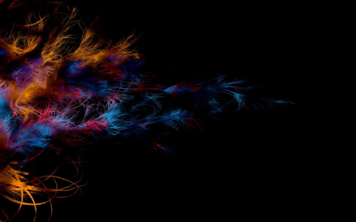 Colour Feathers 1440x900 Wallpapers, 1440x900 Wallpapers