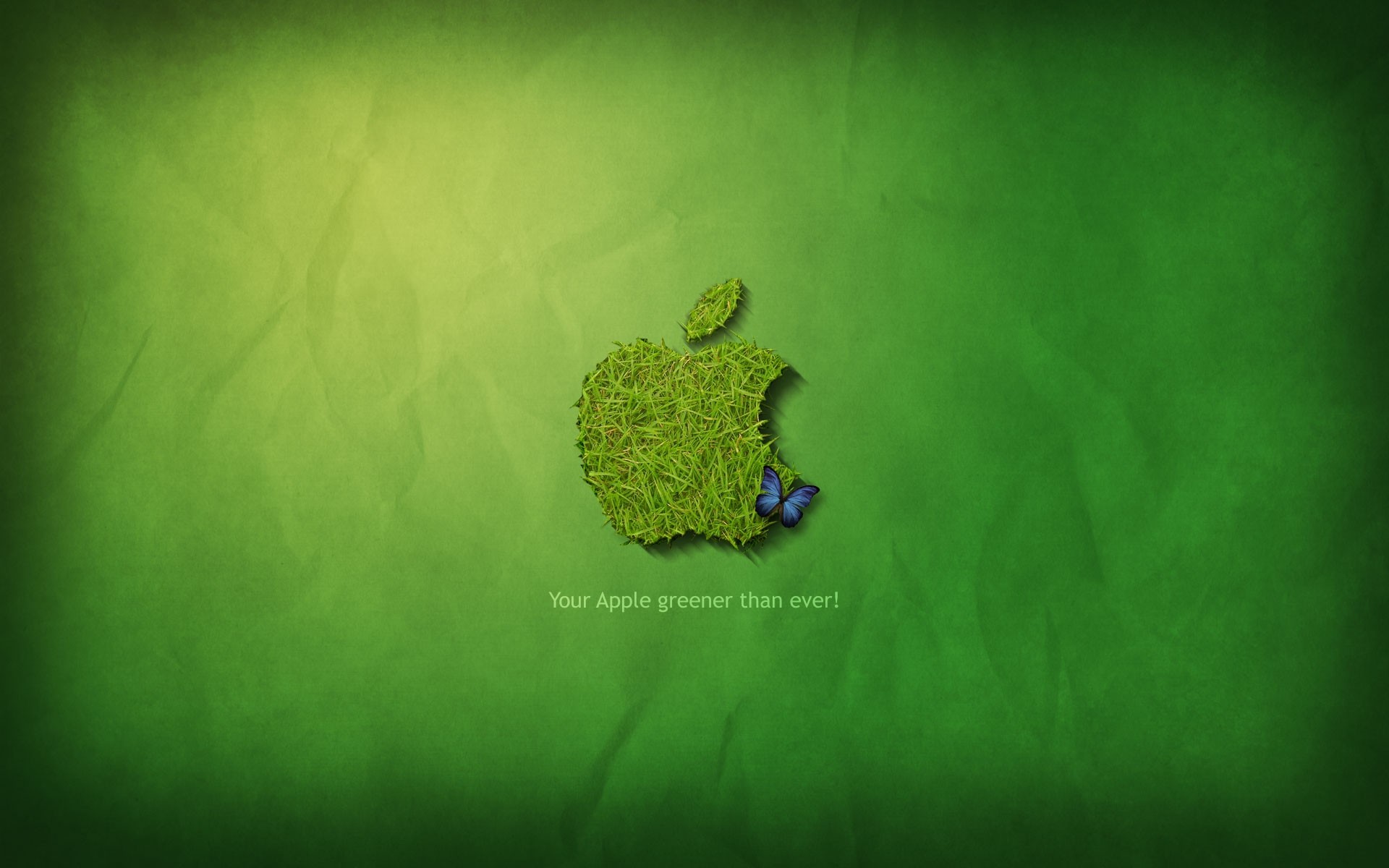 Cool apple logos wallpapers | danasrgf.top
