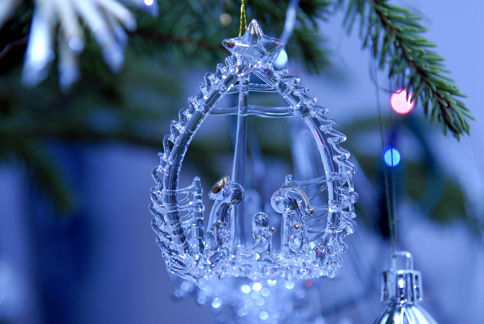 Christmas Banquet - Take 2 on Pinterest | Stock Photos, Blue ...