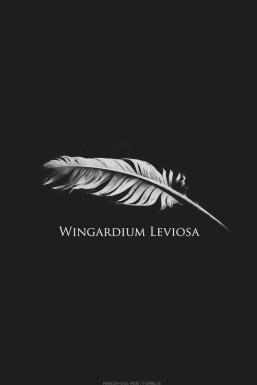 Wingardium leviosa Tumblr