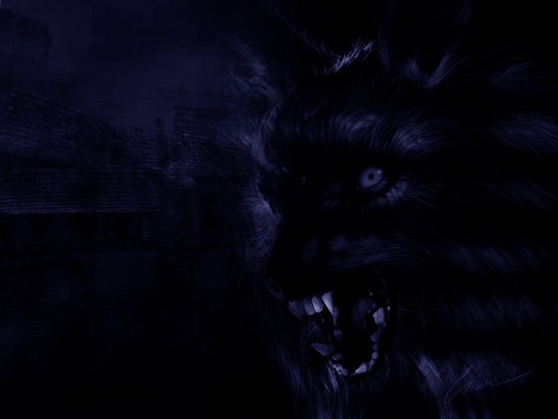 bad ass werewolf - Werewolves Wallpaper (3893741) - Fanpop