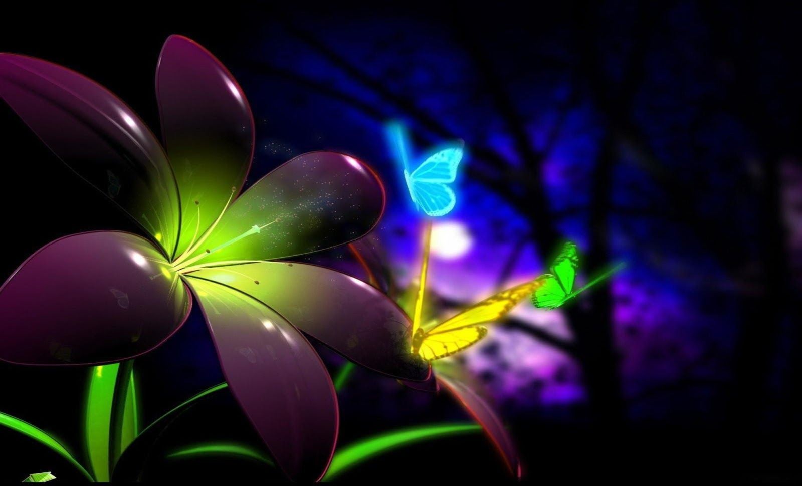 Colorful Butterfly HD Large Wallpapers | newallpaper.net