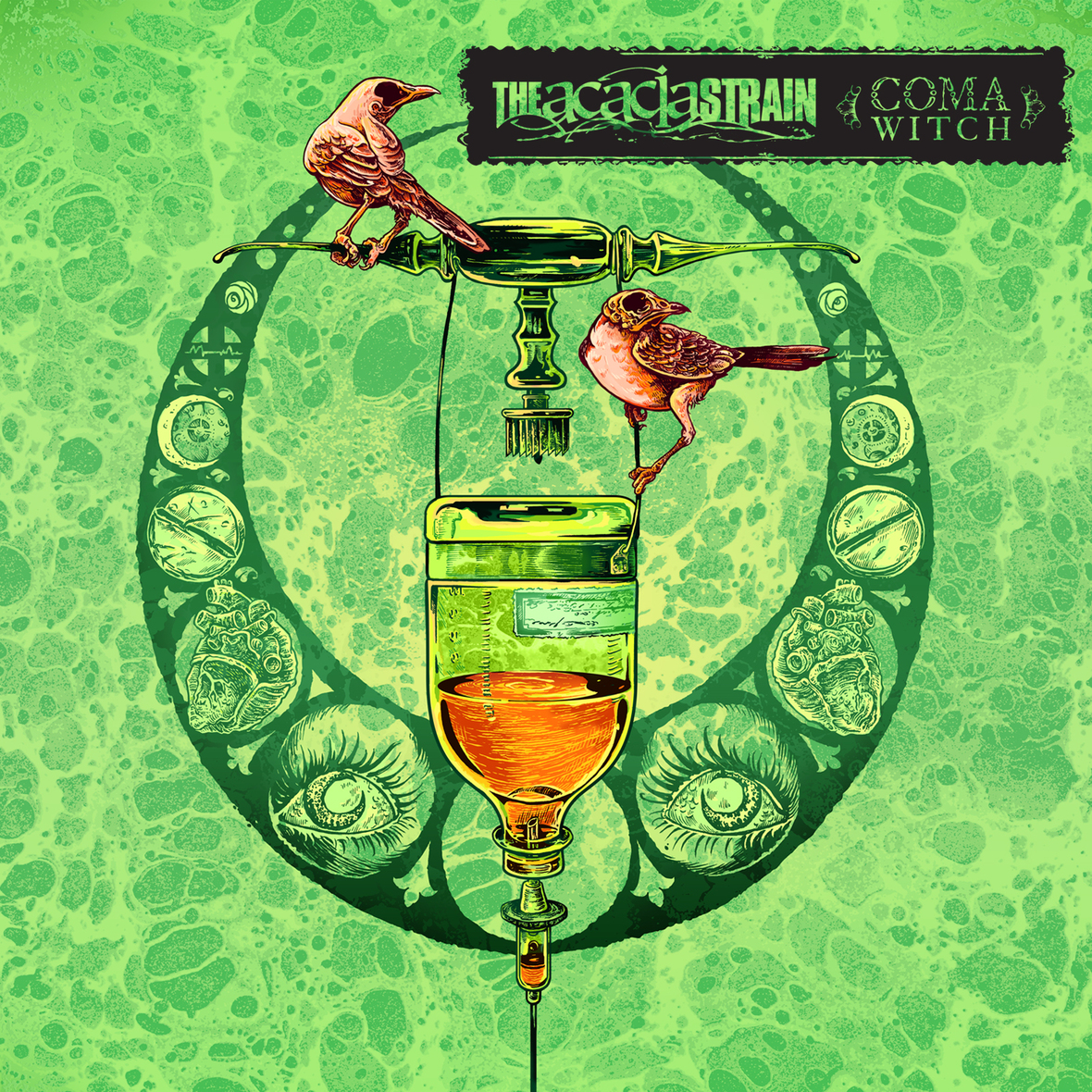 Rock n Reel Reviews The Acacia Strain - Coma Witch - Rock n Reel