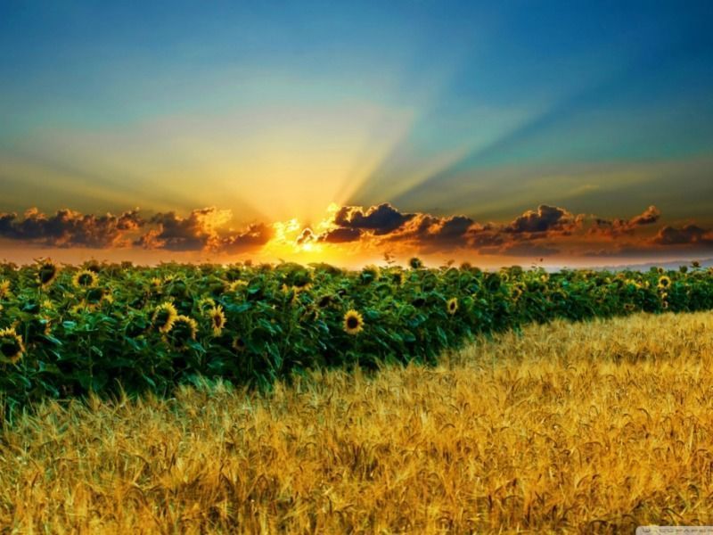 Summer Season Wallpapers | One HD Wallpaper Pictures Backgrounds ...