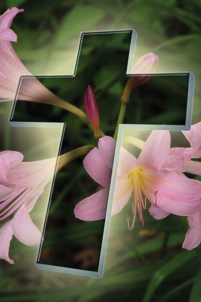 Flower And Cross Iphone 4s Wallpapers Free 640x960 Hd Iphone