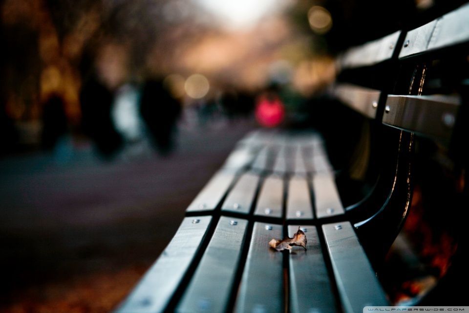 Save My Love For Loneliness HD desktop wallpaper : High Definition ...