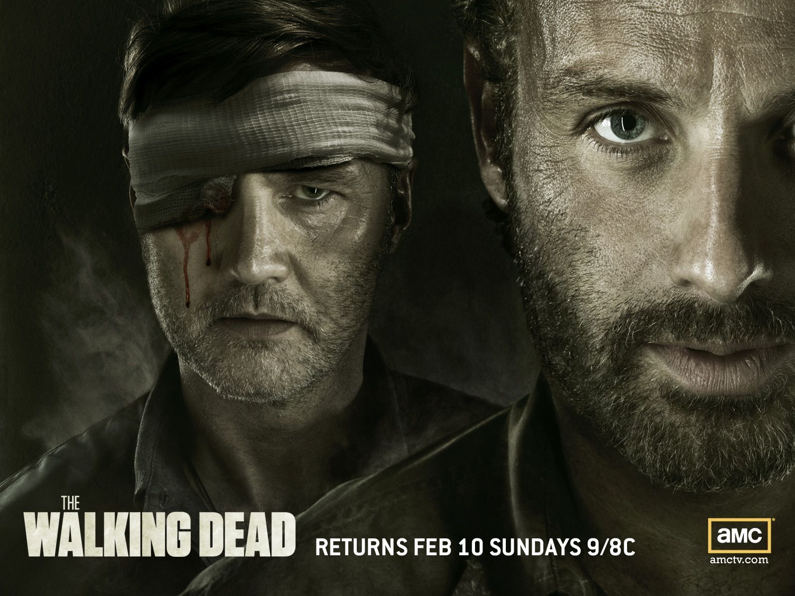 The Walking Dead - The Walking Dead Wallpaper (33489757) - Fanpop