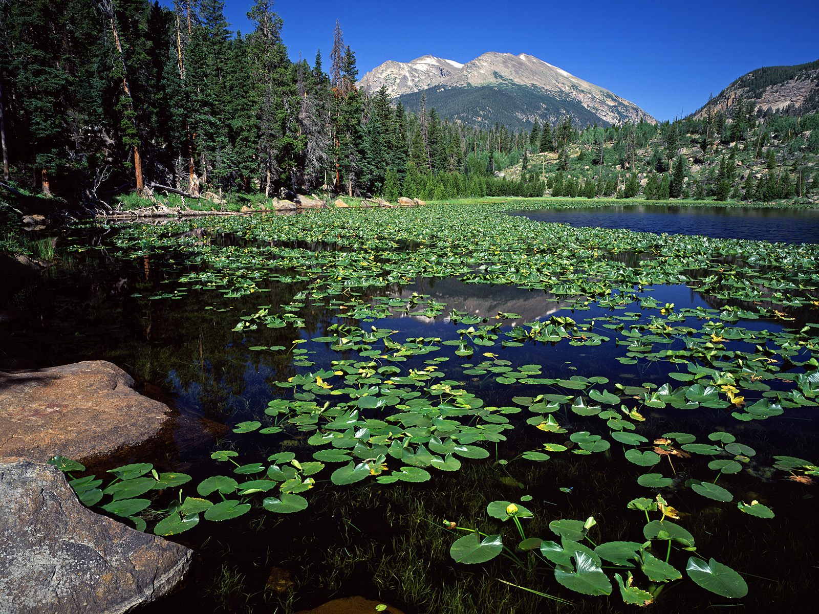 Rocky Mountain National Park Wallpapers