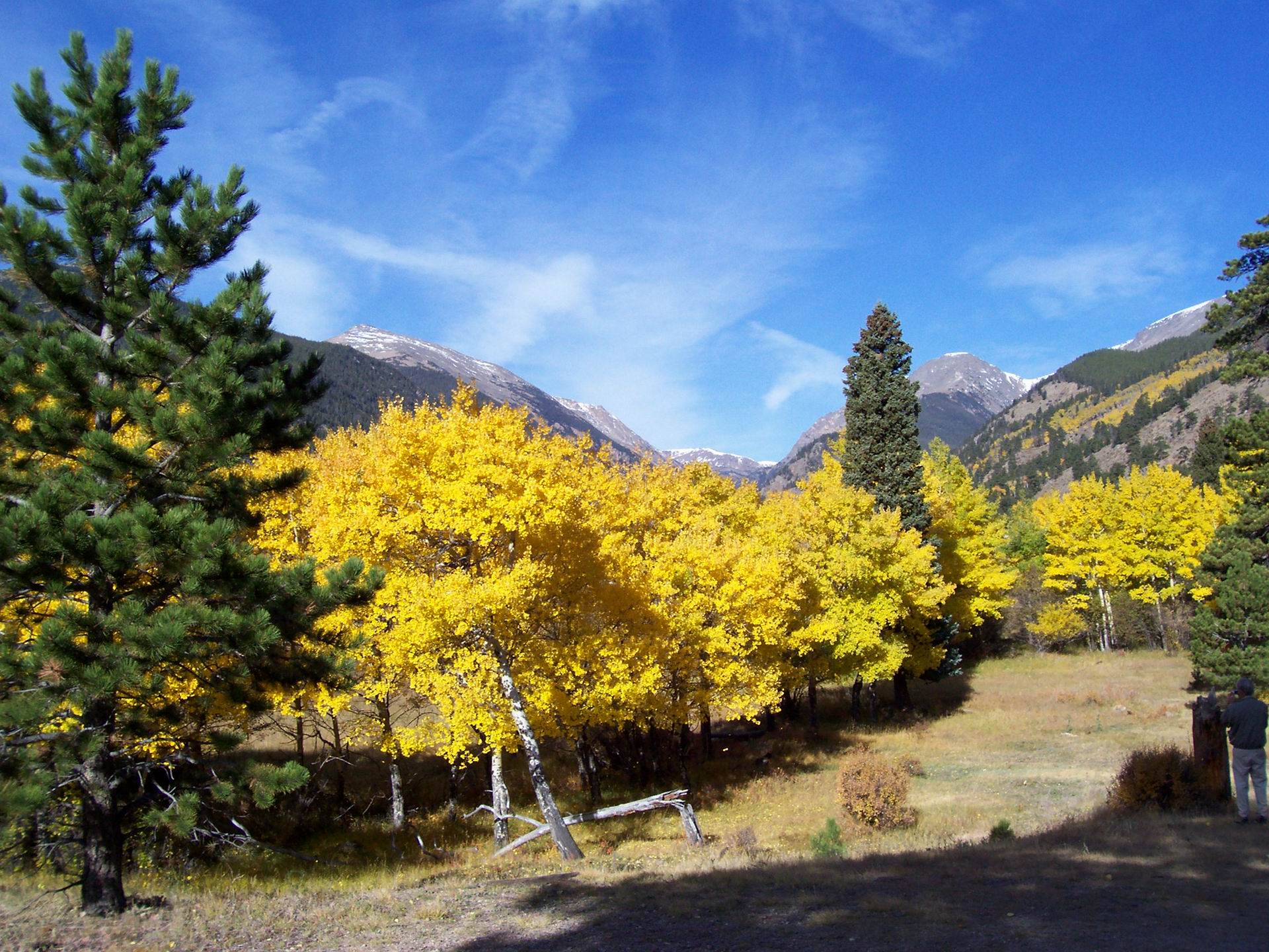 Colorado Rocky Mountains Fall Color Wallpaper | HD Pix