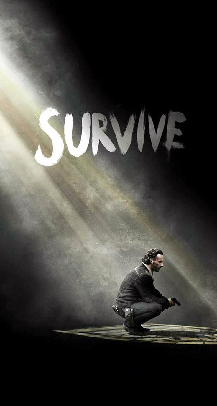 Download The Walking Dead Season 5 Survive Rick iPhone 6 Plus HD ...
