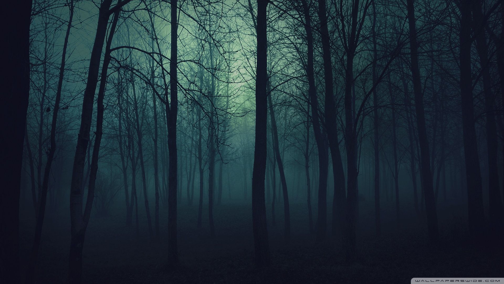 Beautiful Pictures of Dark Forest The Art Mad Backgrounds