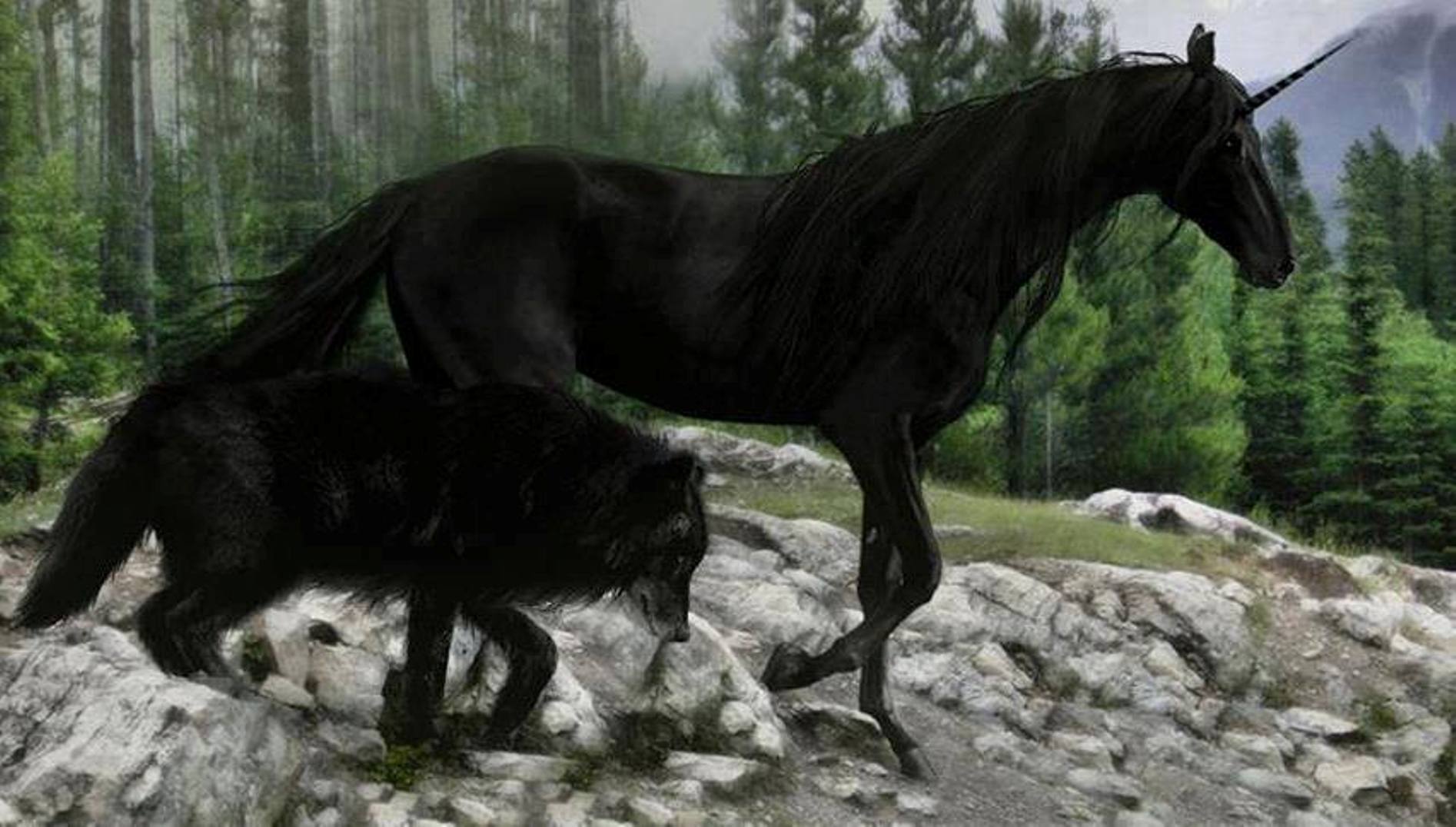 Black-Wolf-With-Black-Horse-Wallpapers-HD.jpg