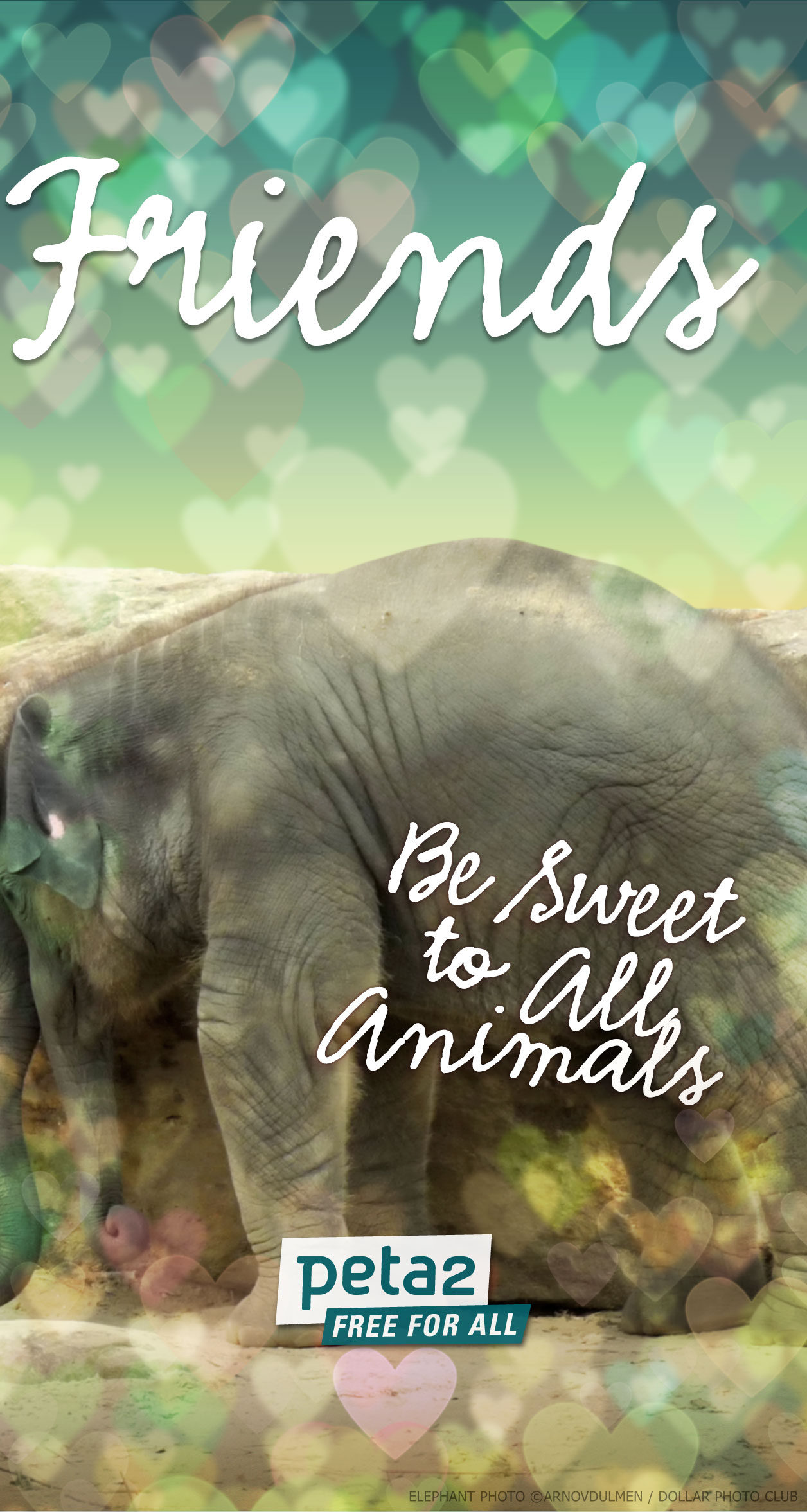 FREE Valentine's Day Phone Backgrounds | Take Action | peta2.com