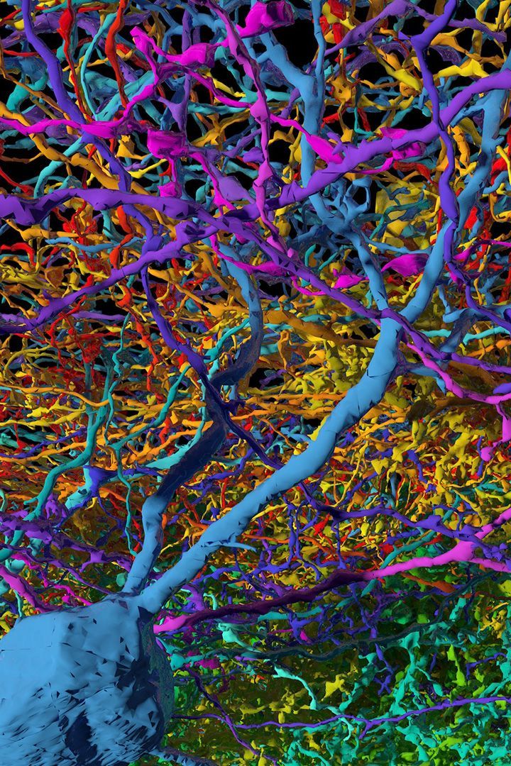 Samsung Galaxy s3 background candyneurons