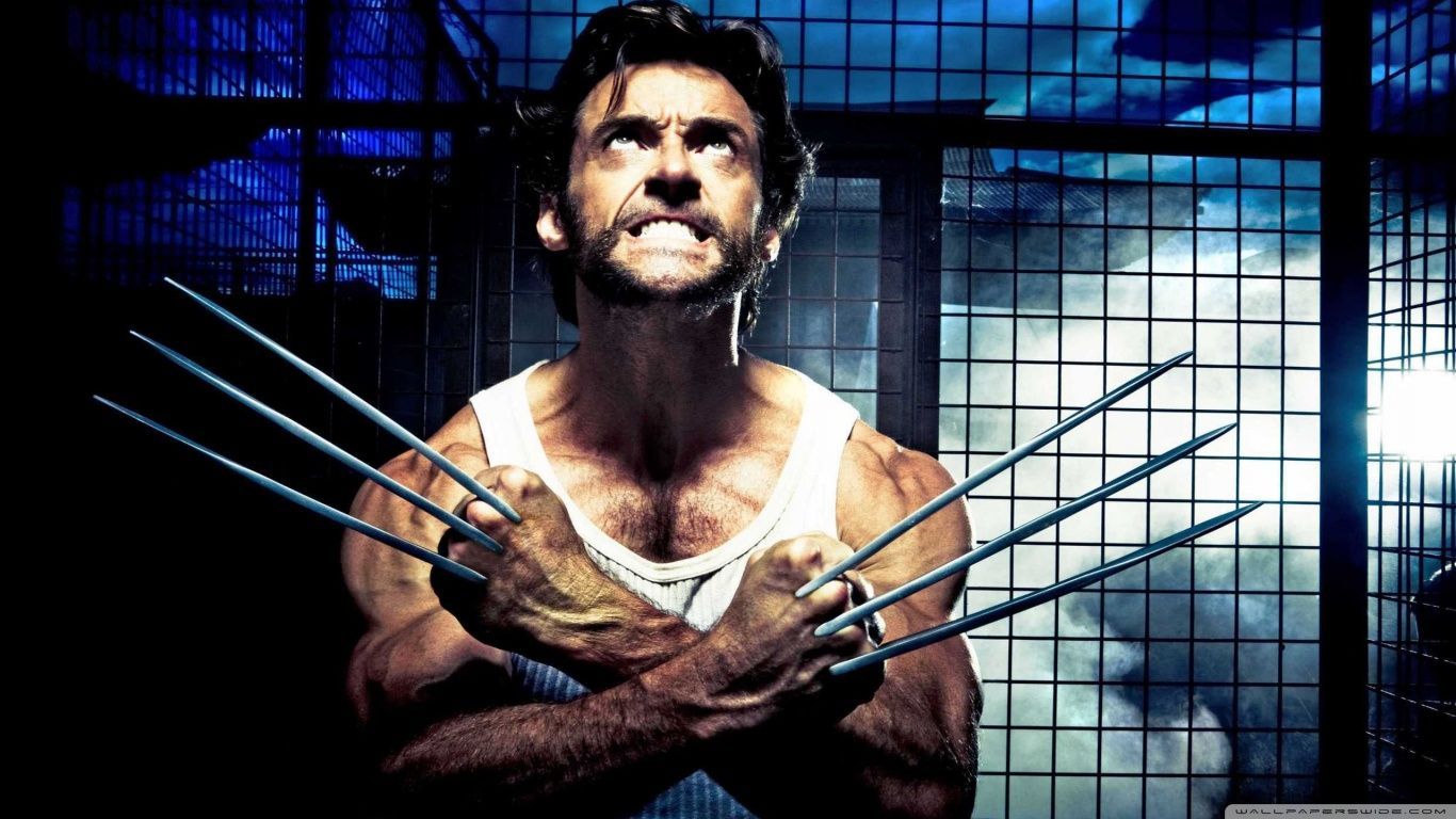 2009 X Men Origins Wolverine HD desktop wallpaper : Widescreen ...