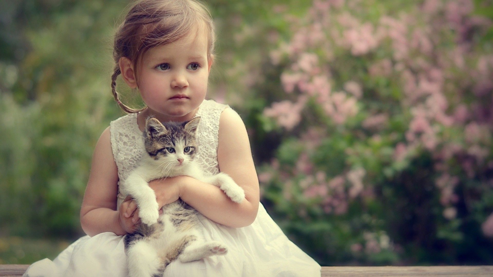 Animated HD Cute Baby Girl And Kiccen Wallpape. #1053 | wallpaperwide