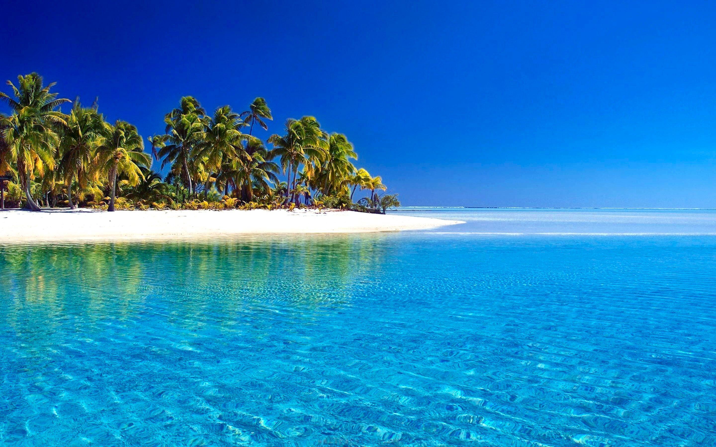 Tropical Opus Paradise Palm Beach Horizon Aitutaki Island Cook Sky ...