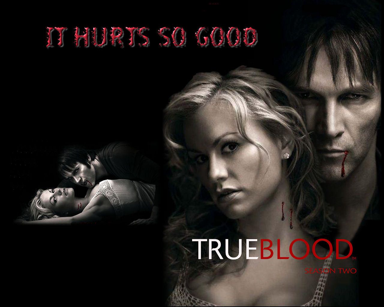 True Blood Wallpaper 1280x1024 Wallpapers, 1280x1024 Wallpapers