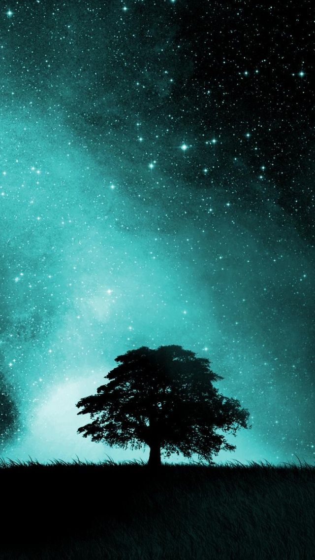 Sky Full Of Stars iPhone 5 Wallpaper ID 38902