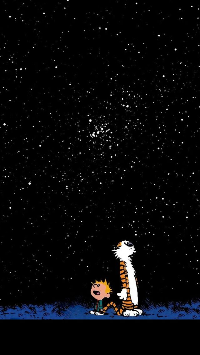 Calvin And Hobbes Looking At Stars iPhone 5 Wallpaper ID 27271