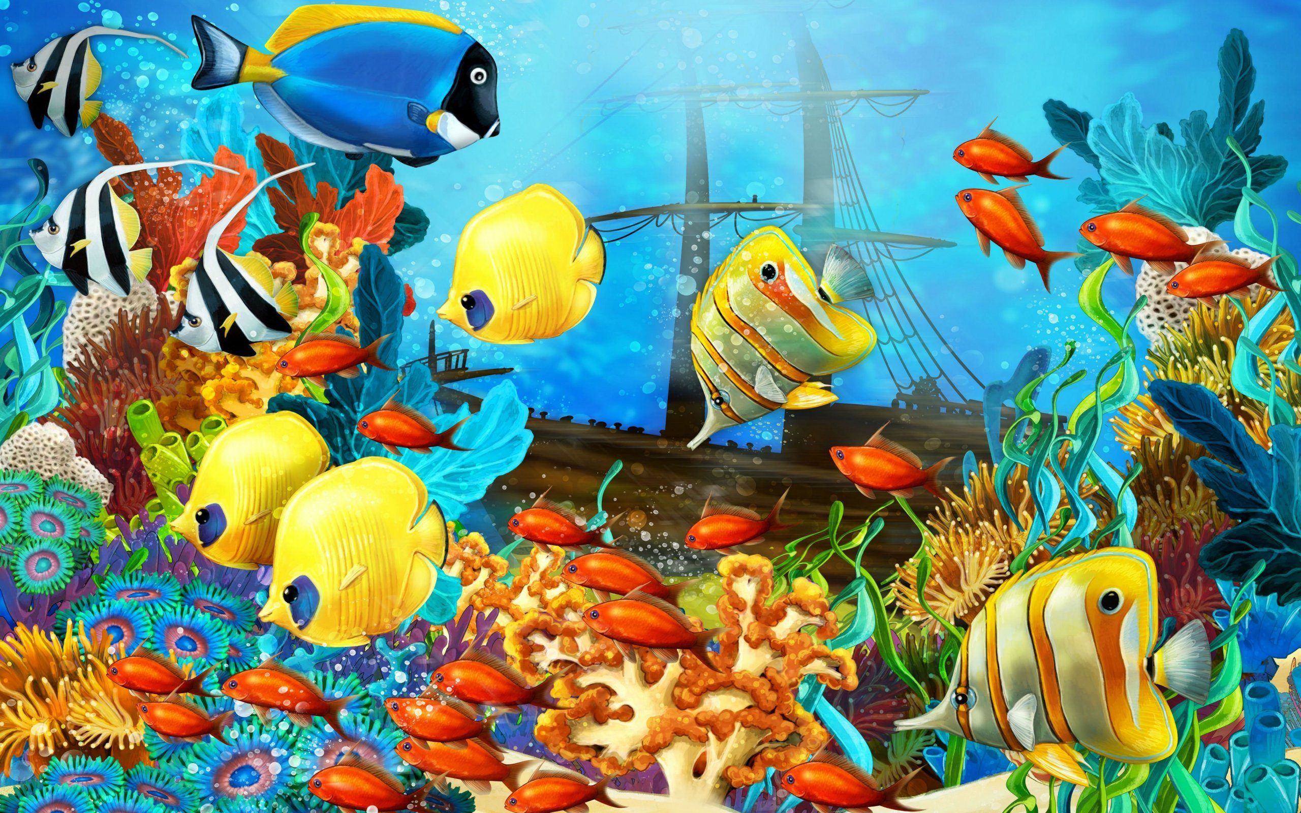 Coral Reef Marine Life HD Wallpaper Download High Quality