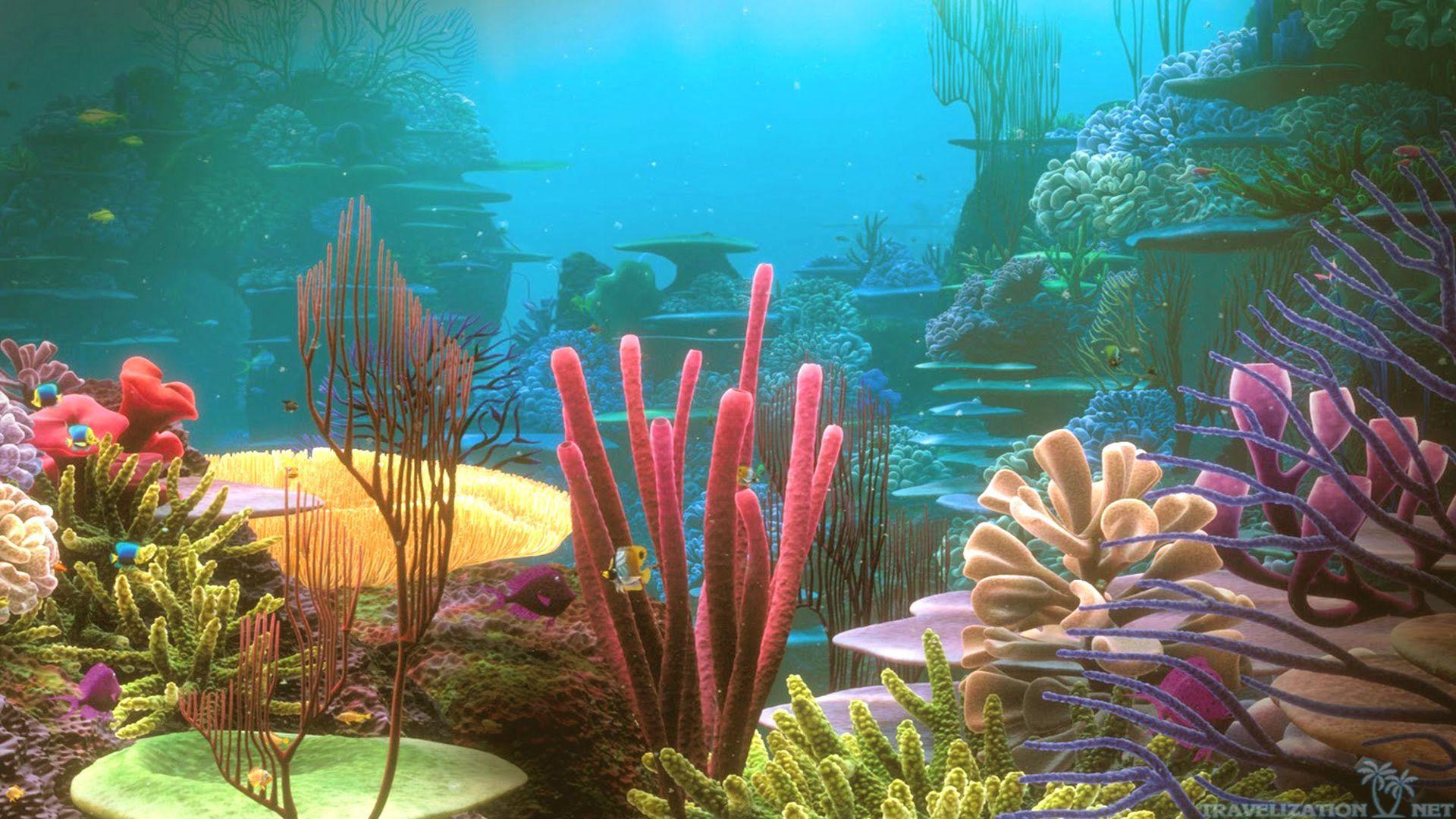 Colorful Coral Reef Desktop Under Water Wallpaper Hd Phone | HD ...